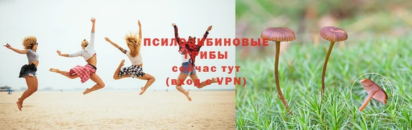 прущий лед Балахна