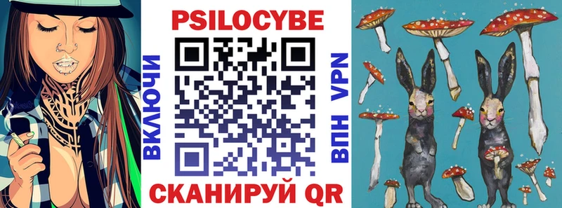 Купить закладки  Бологое  Псилоцибиновые грибы мухоморы 